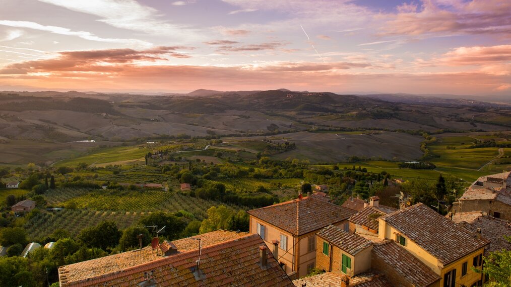 Photo credit: Łukasz Czechowicz via Unsplash Top 5 Countries to WWOOF on a Vineyard: France
